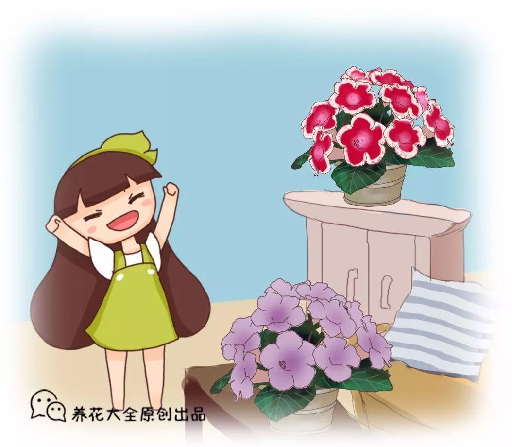 这花没太阳也能开, 随手摘片叶子, 就能长出一大片!