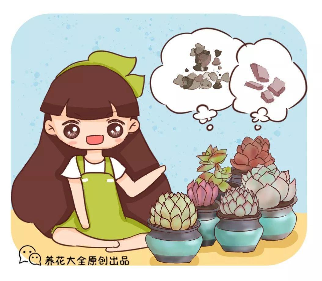 用这些偏方养花, 1分钱不花, 盆盆长得都旺盛!
