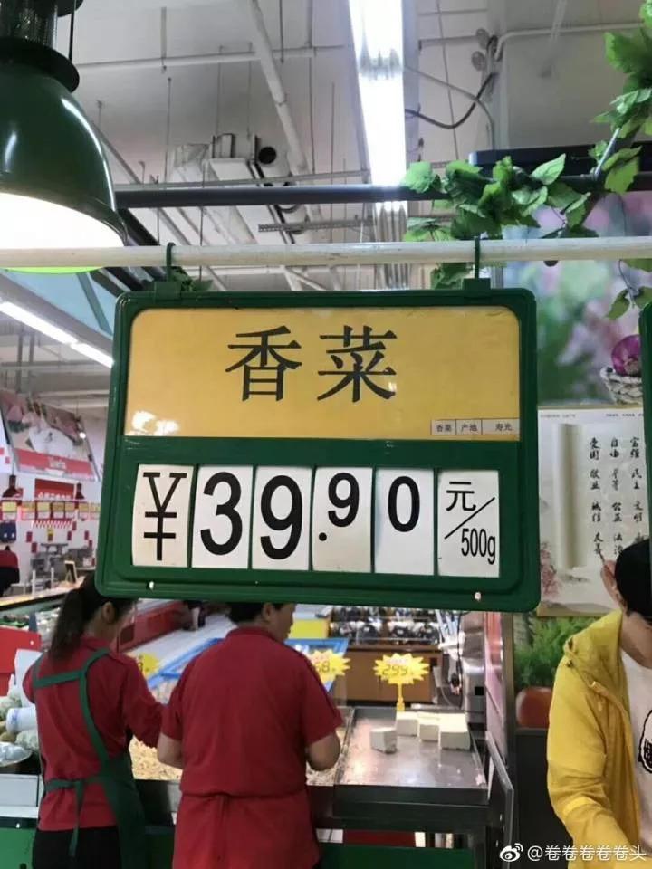 香菜40块1斤! 吃不起了, 赶紧自己在家种一盆!