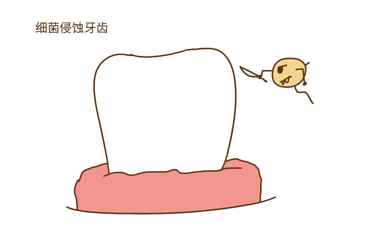 小宝宝的日常牙齿护理, 存在这几大误区, 你中招了吗?