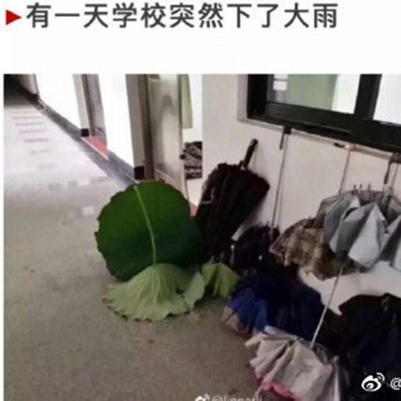 你在学校拍到过哪个搞笑瞬间, 网友都是奇才啊
