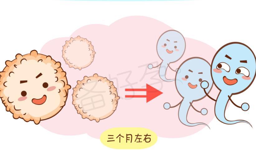 男性生育的黄金年龄, 你知道吗?