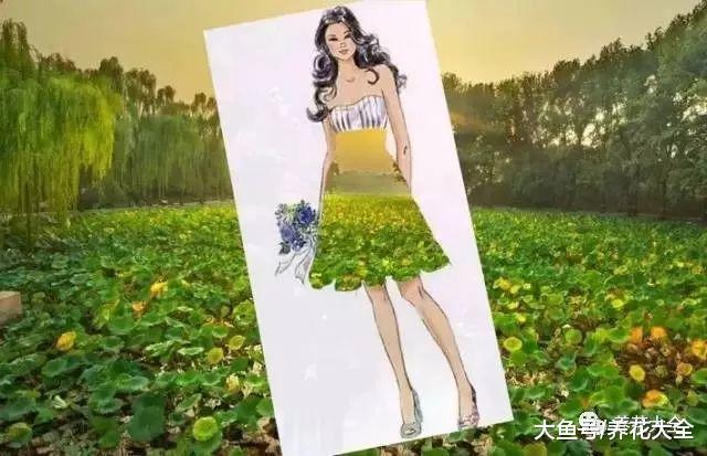 当美景遇上裙子, 只有想不到, 没有做不到!