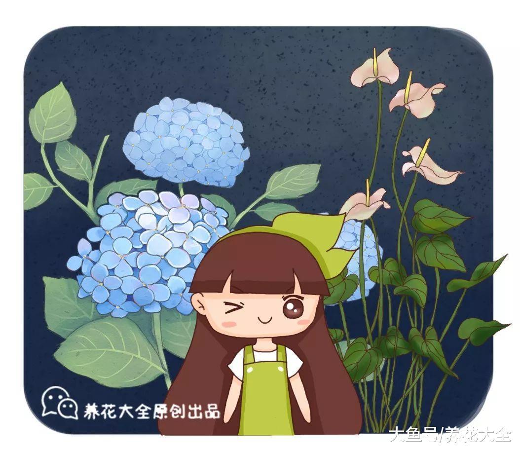 20种耐阴花卉, 就算阳光不足, 也能年年都开花!