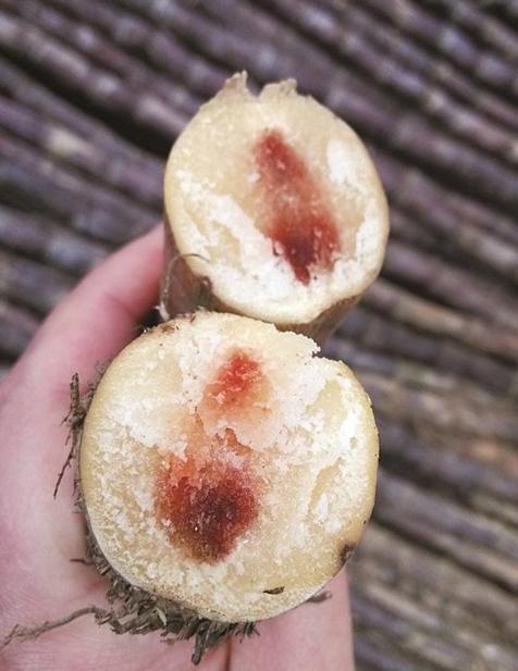 这5种食物坚决少吃, 吃多伤身还会得癌, 为家人的健康不得不看!
