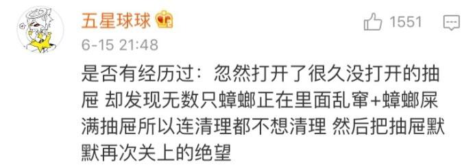 作为一个南方人应该知道的事情