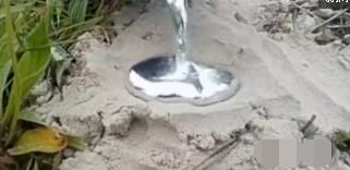 将融化的铝倒入蜘蛛洞中, 结果让人想不到