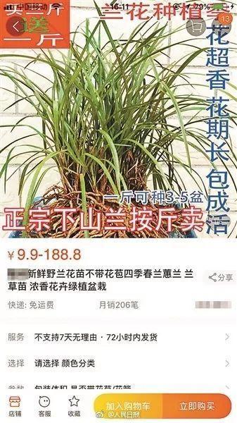 这些野生植物, 在挖就灭绝了, 请放过它们吧!