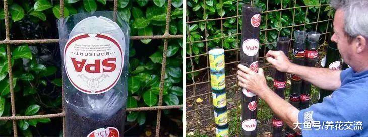 五种制作垂直园艺的小技巧, 废弃的瓶子都能养出一片花园菜园