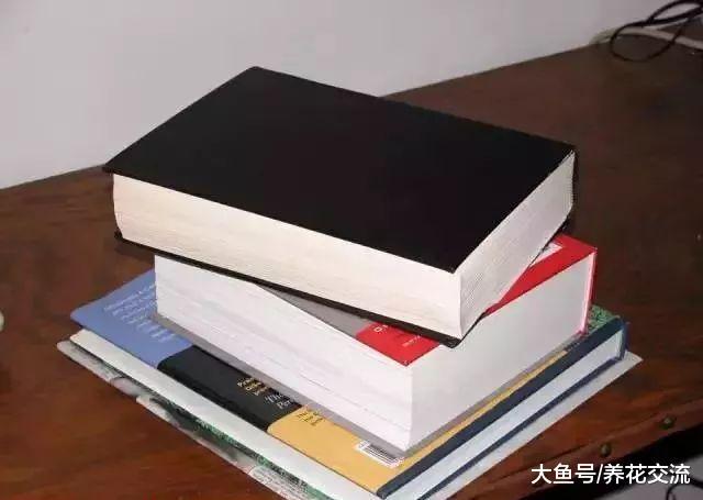 用这5种方法可以把秋天七彩的落叶永久地保存起来