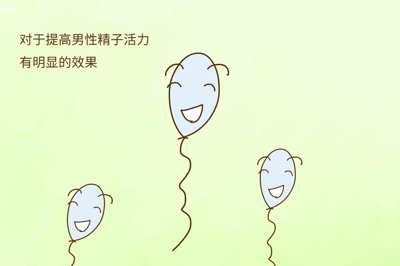 备孕阶段, 想要提高男性精子质量, 你知道番茄红素有多重要吗?