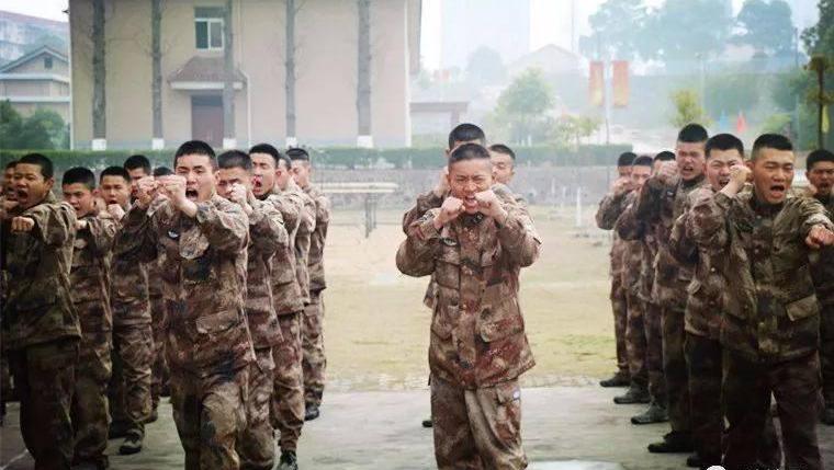 今天,和兵哥一起重“拳”打“假”!