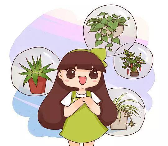 这7种心形花, 好看又好养, 还可以当窗帘用!