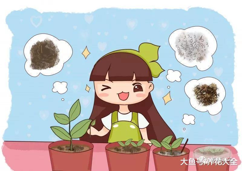 剪下来的枝条别浪费, 这样一处理, 花盆都不够用!
