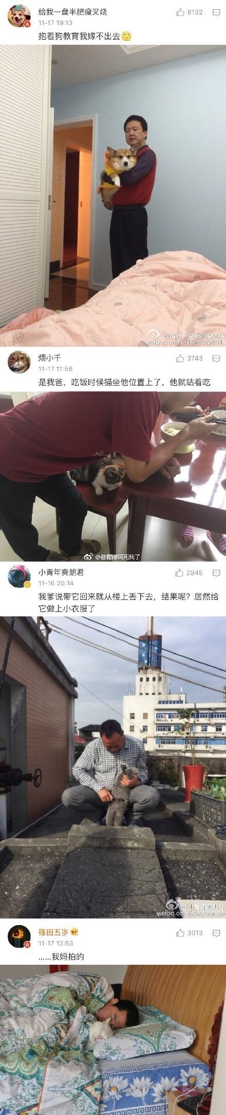 父母一开始不让养宠物, 养了之后爱得不要不要的