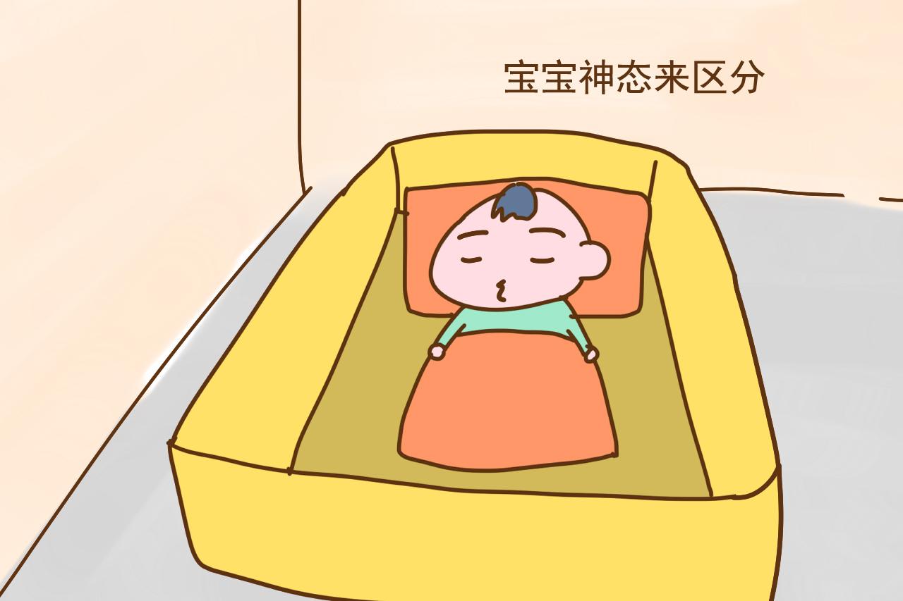 宝宝一放就醒? 不了解宝宝睡眠规律, 难怪会觉得哄睡困难