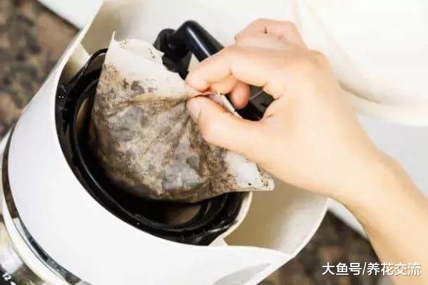 咖啡渣的6种园艺作用, 生活肥料变成养花的好东西