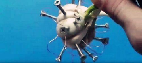 男子把大蒜插满钉子给手机充电, 得知真相后, 众人鼓掌叫好!