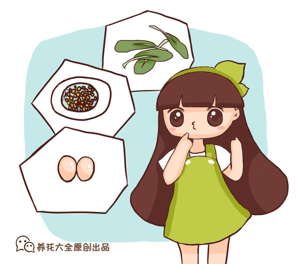 汤底倒盆里, 花长得太快, 半个月爆了3盆!