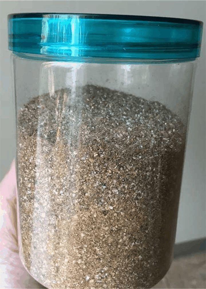 吃剩的海鲜壳别浪费, 给花用了, 蹭蹭长个冒花苞!