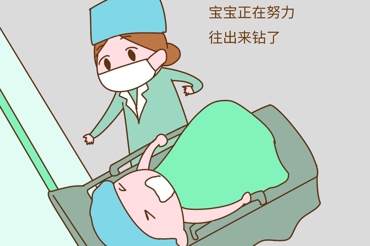 你知道分娩前, 胎宝在妈妈肚子里忙什么吗?