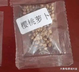 阳台再小这3种菜也能种, 产量高, 还好种!
