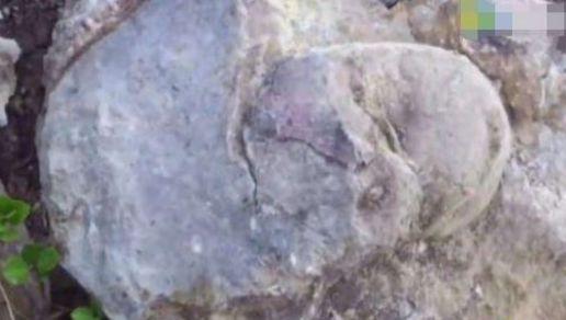 男子在河边发现一块“凸石”, 敲开后拿出这物, 男子高兴的睡不着