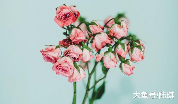 “老公把女儿扔下楼, 他们却劝我别离婚”