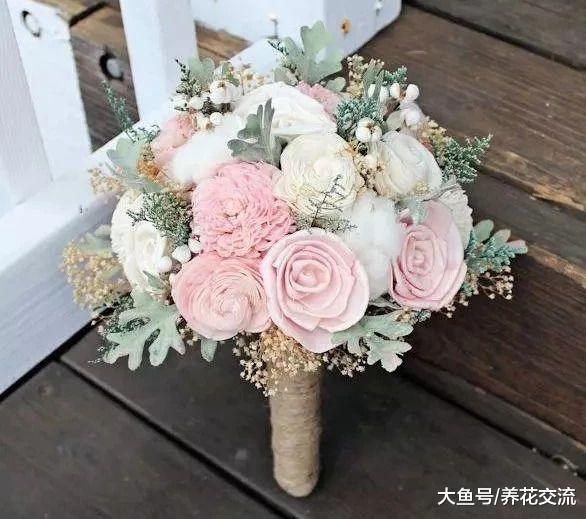 特别适合在凉爽的秋季栽培的雪叶莲, 看起来像是染上霜冻的植物