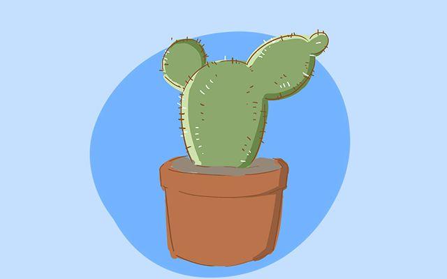 这4件东西很容易伤到宝宝, 几乎家家都有