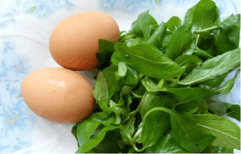 揪一把薄荷, 放油锅炒鸡蛋, 满鼻喷香!