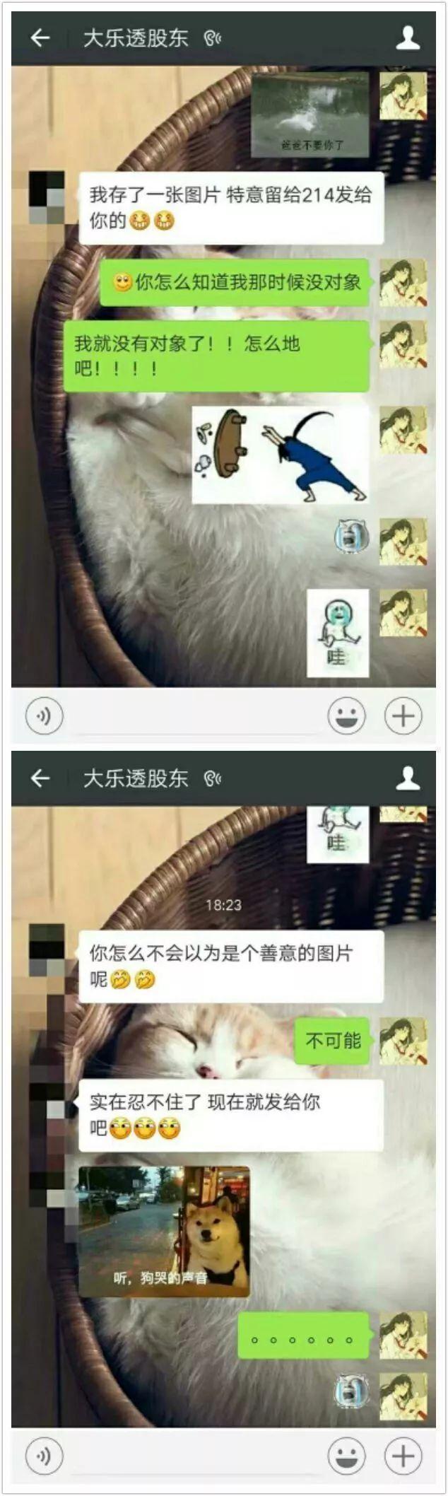 甜蜜情侣撩人的套路情话! “弯了跟我吱一声”“弯你妹啊”