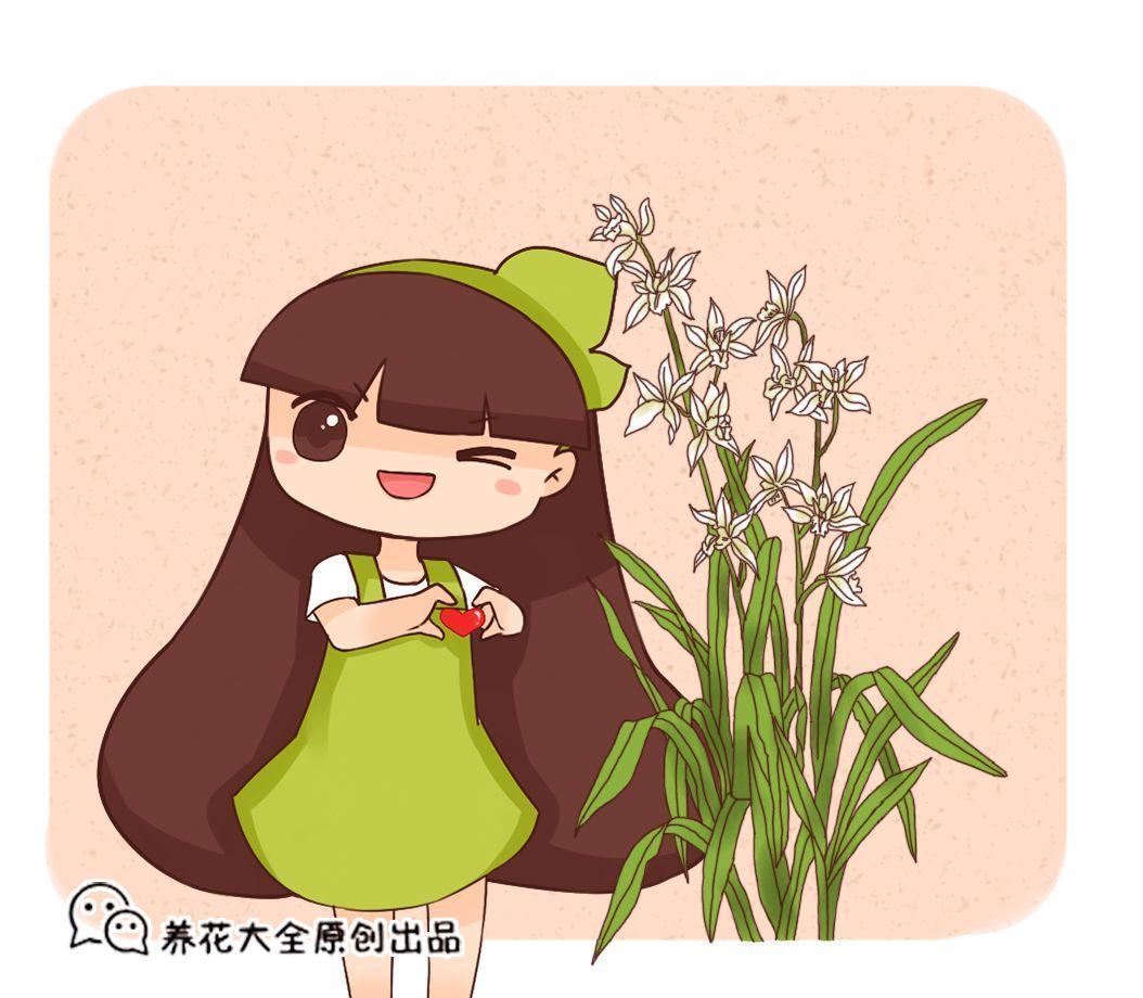 初秋养花要谨慎, 掌握这5点, 满屋都是兰花香!