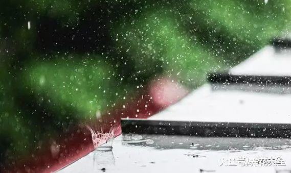 养花方法大总结, 只要学会了, 你就是养花大神!