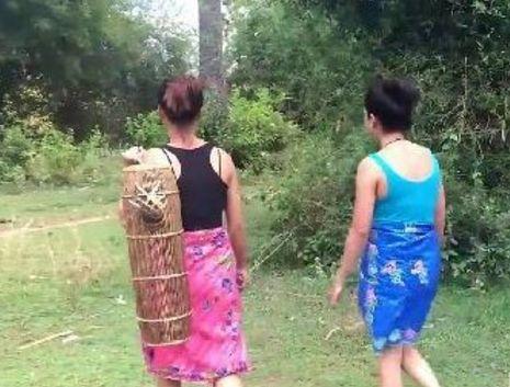 美女用竹筐设置陷阱捕蛇, 最后把蛇捕了出来, 原因让人感动!