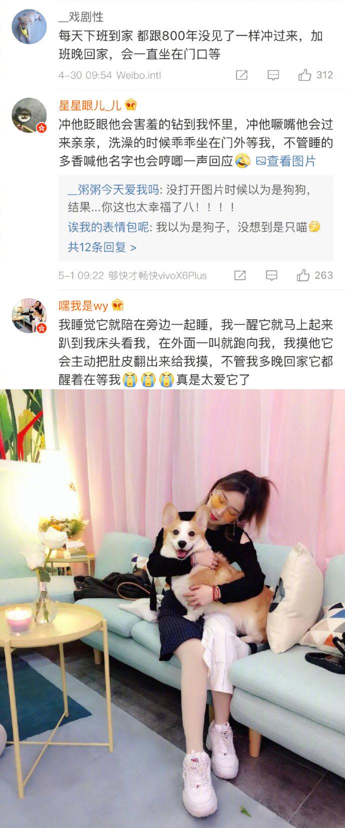 作为一个铲屎官, 在哪一刻你确定是被主子们深深爱着的, 评论都好暖