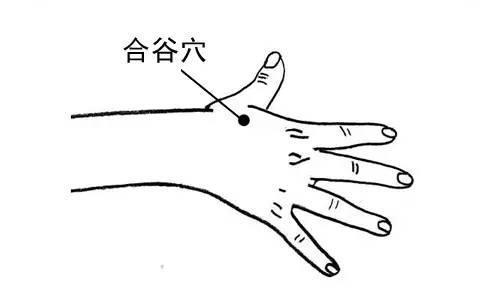 半夜醒后难以入眠? 多半是经络不通! 每天按揉这里, 安睡到天亮!