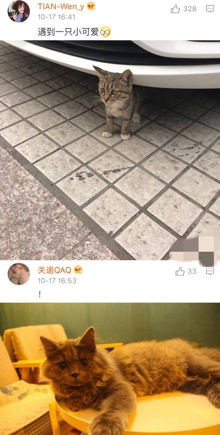 你平时都有啥很开心的小事, 看评论真的觉得很美好呀! 希望大家都可以快乐