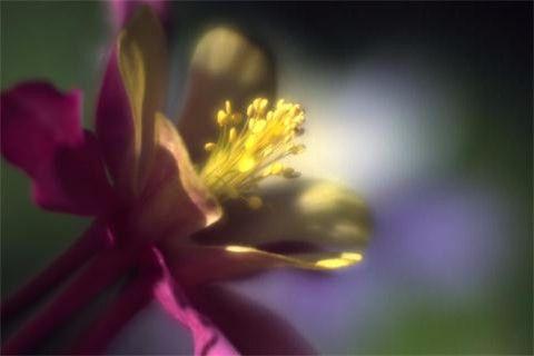 也许你体会不到这十句话的魅力