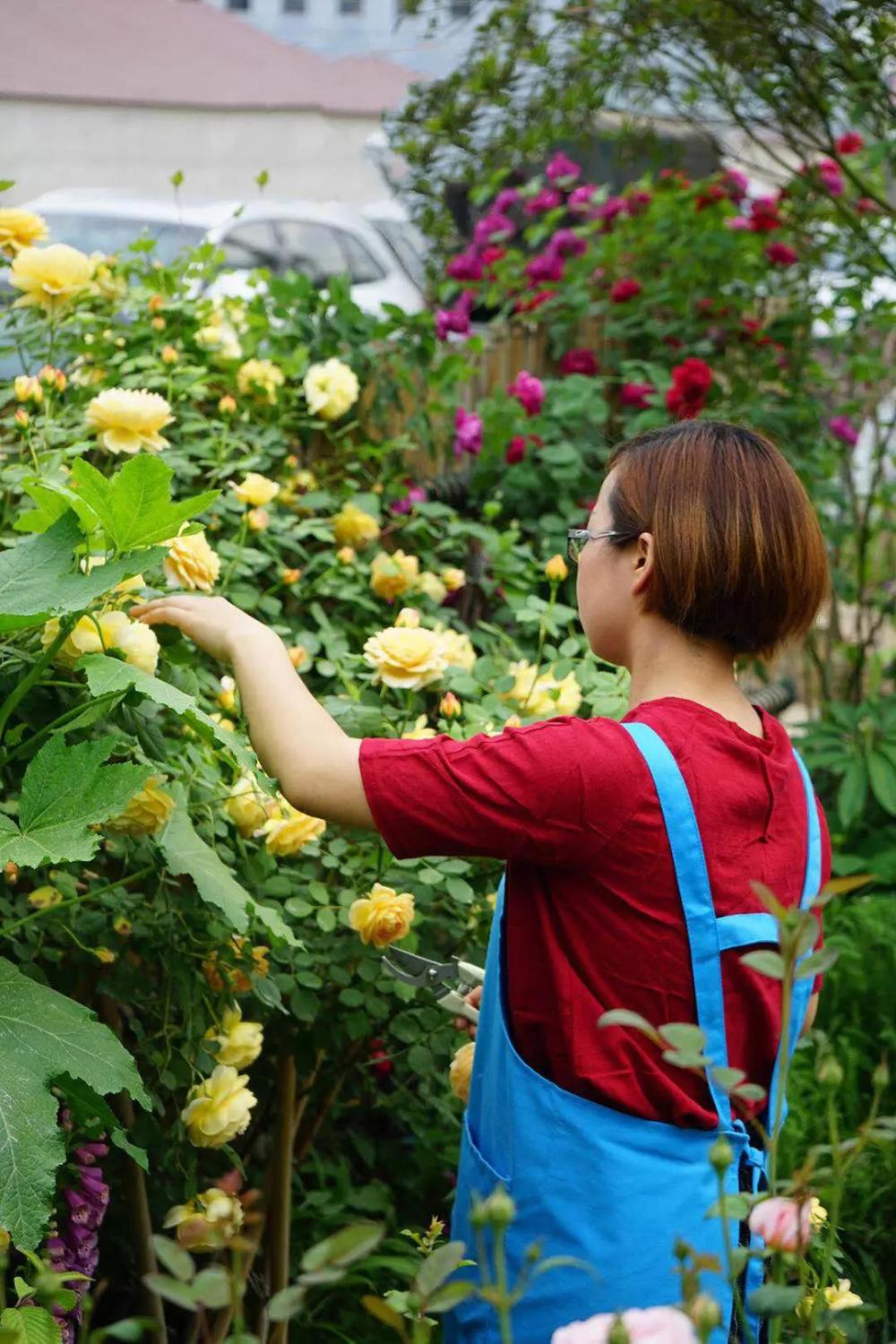 白领妈妈放弃高薪, 回农村造花园, 全村人都看傻了!