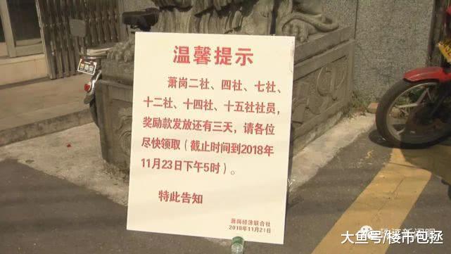 八戒游戏
