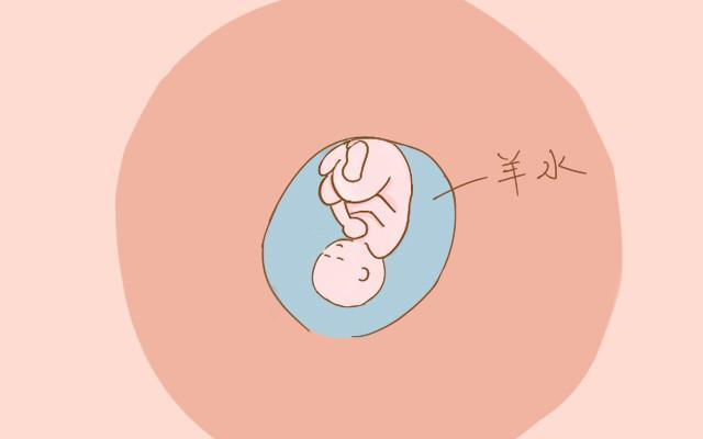 想知道自己是否属于不显怀的孕妈? 那要看看是否具备这几个特征