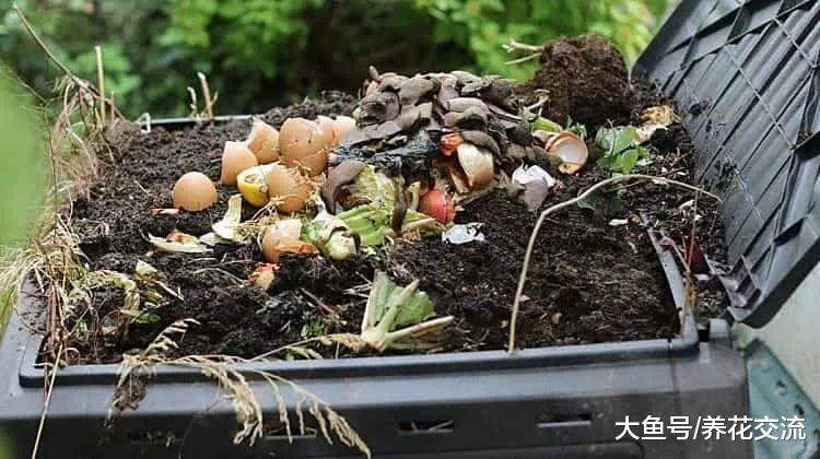 5种非常实用的园艺养花创意, 自己在家DIY肥料和驱虫剂