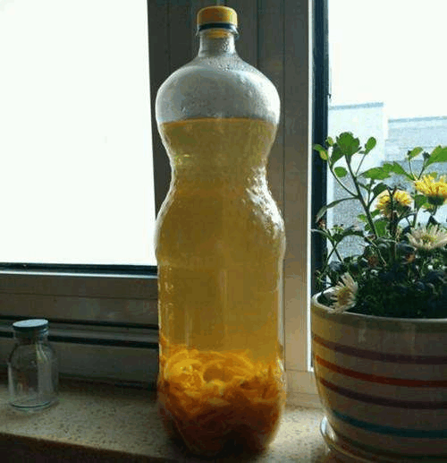 柚子吃完“皮”留下, 发酵成水来喂花, 养啥都能旺!