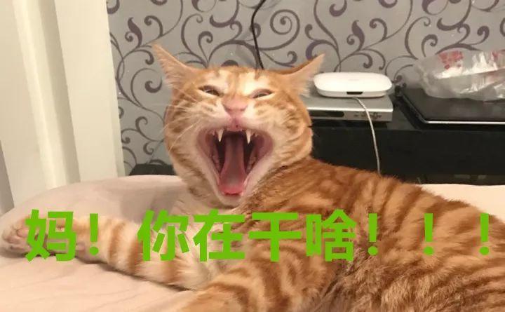 家里养花要注意, 这几种水不能用, 不然养一盆没一盆!