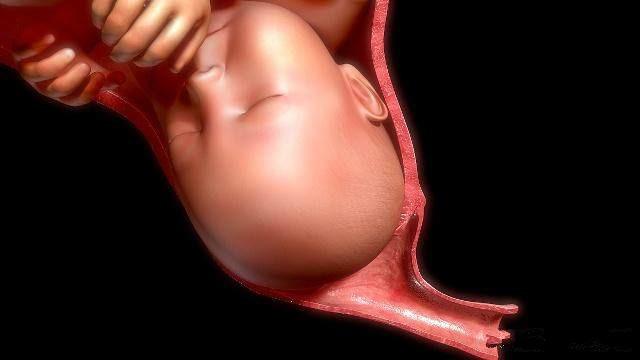 胎儿出生的全过程, 感觉女人太不容易了