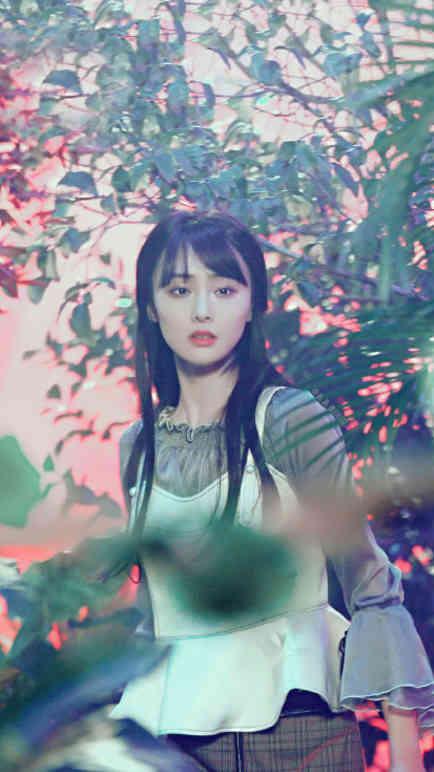 郑爽美出新高度, 仙女在草丛中看什么呢? 眼神在期待什么你懂吗?