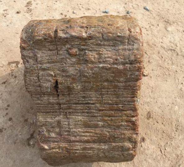 男子砍柴时捡回烂木桩, 家里人都说有病, 岳父一伸手慌了