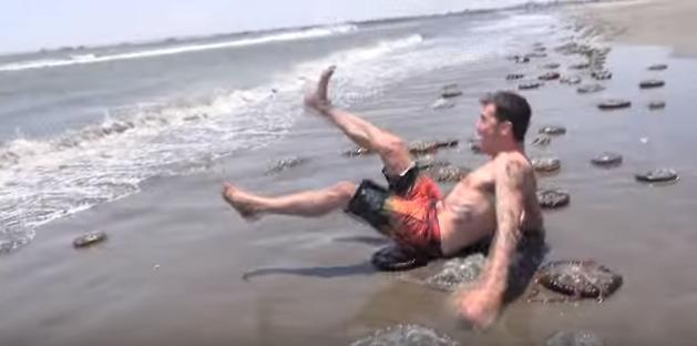 男子发现海滩上出现许多怪异生物, 当他抓起一个之后马上就后悔了