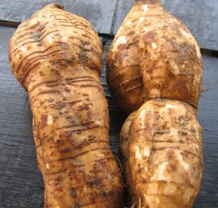 酒精的作弊器, 酒前偷偷喝一点, 不晕不吐, 喝2斤白酒也不醉酒